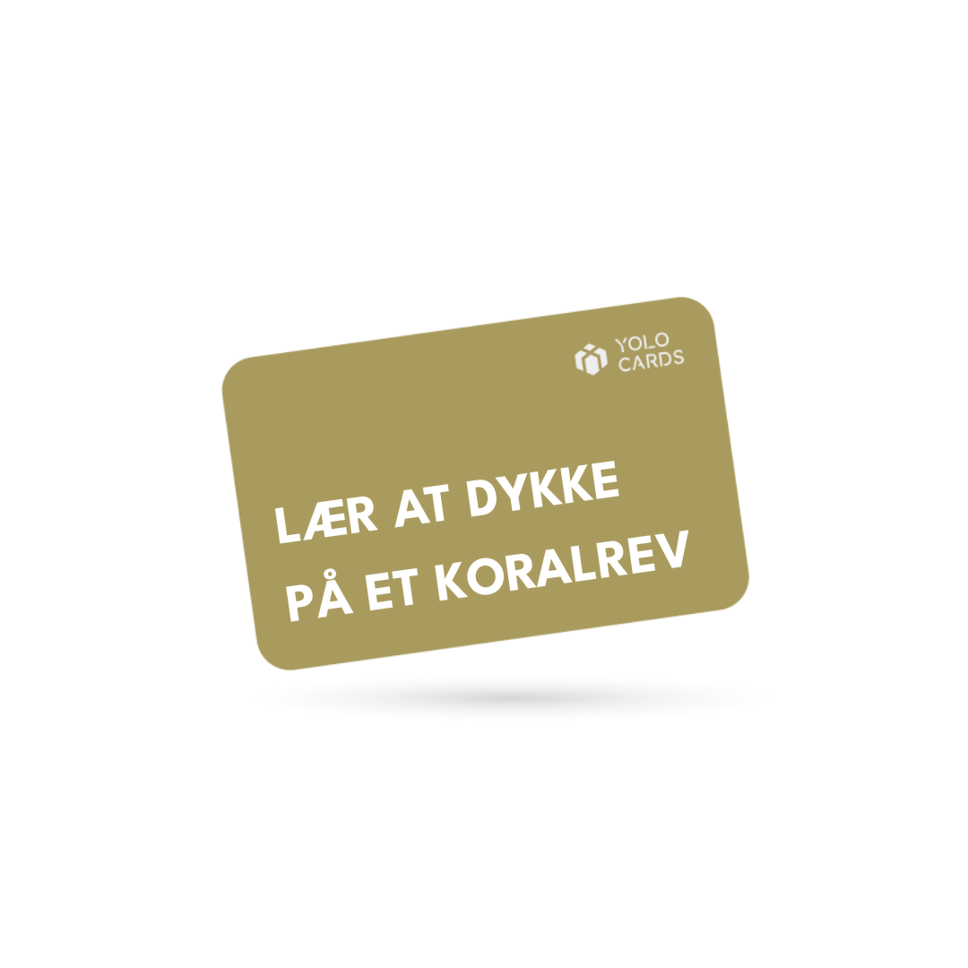YOLO-gavekort – Lær at dykke på et koralrev