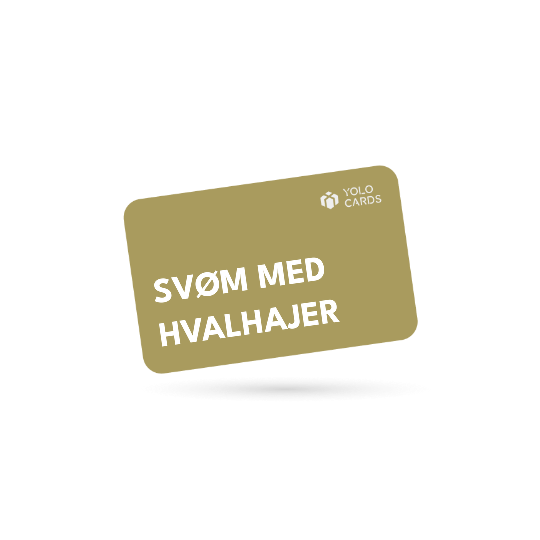 YOLO-gavekort – Svøm med hvalhajer